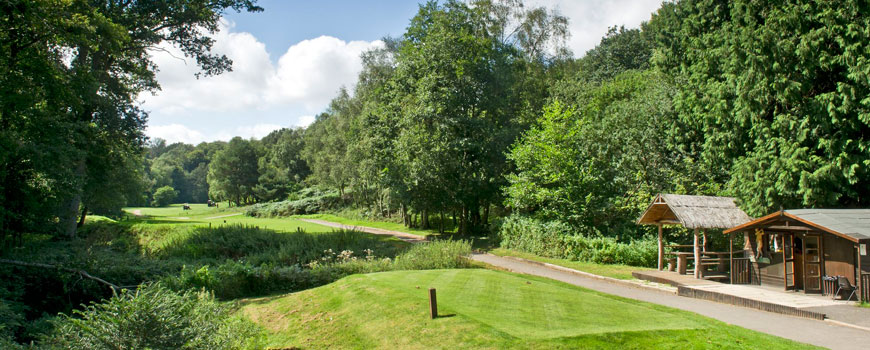 Waterfall Course Course at Mannings Heath Golf Club Image