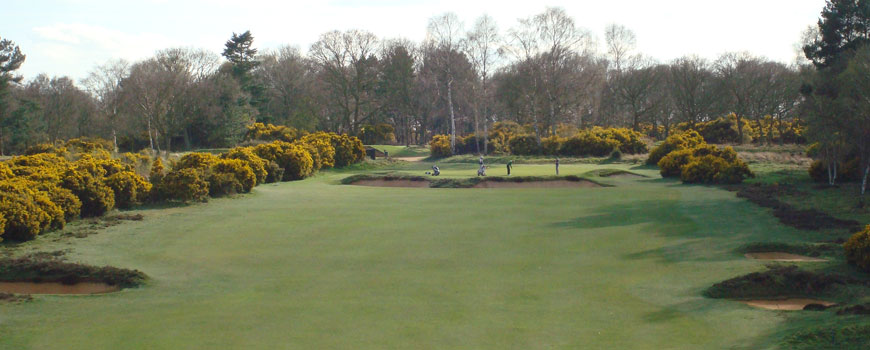 Heath Course Course at Woodbridge Golf Club Image