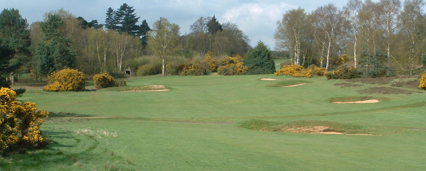 Heath Course Course at Woodbridge Golf Club Image