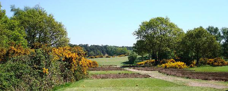 Woodbridge Golf Club
