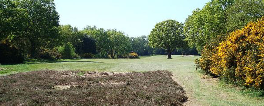 Woodbridge Golf Club