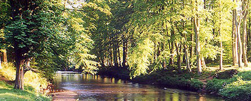 Moyola Park Golf Club