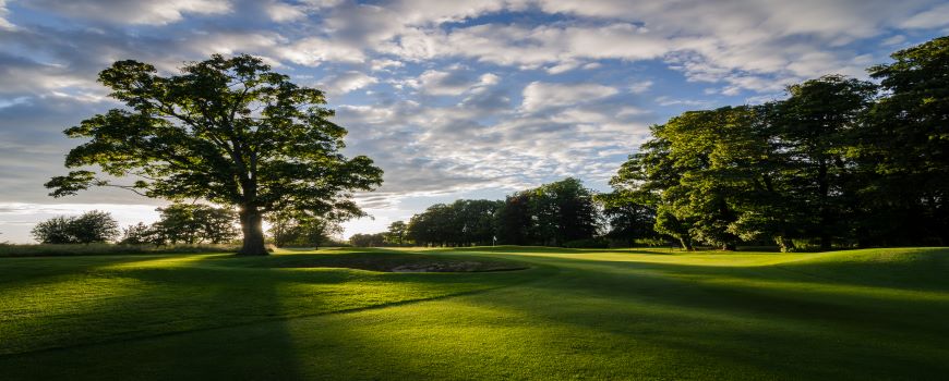  Badgemore Park Golf Club