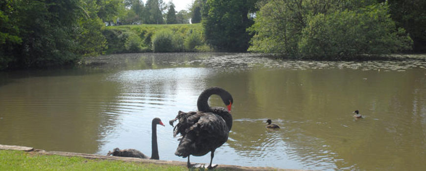 Fulford Heath Golf Club
