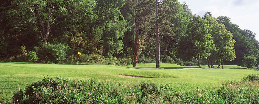 The OMeara Course at Carton House Image