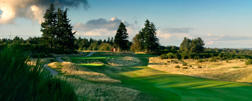 PGA Centenary Course Course at Gleneagles Image