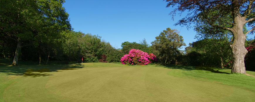 The Mackintosh Course Course at Cottrell Park Golf Resort Image