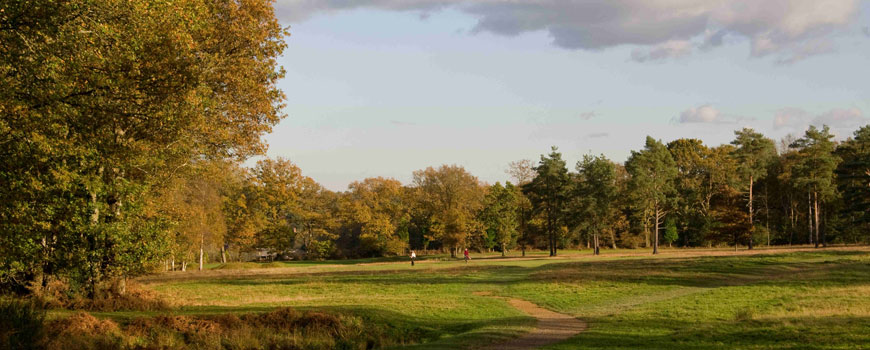 Royal Ashdown Forest Golf Club