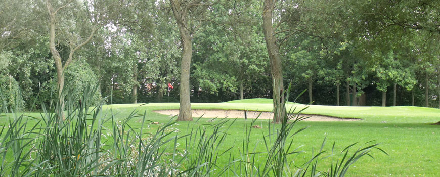  Copsewood Grange Golf Club