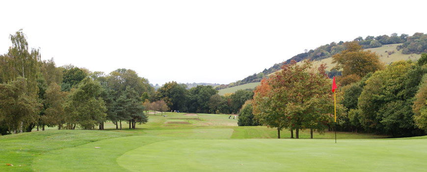  Betchworth Park Golf Club