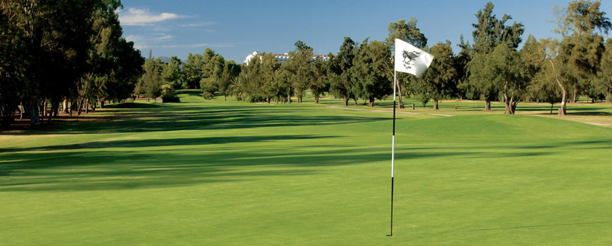 Championship Course  at  Penina Golf Resort